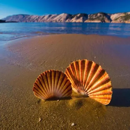 Seaside In Rab Apartman Rab Town