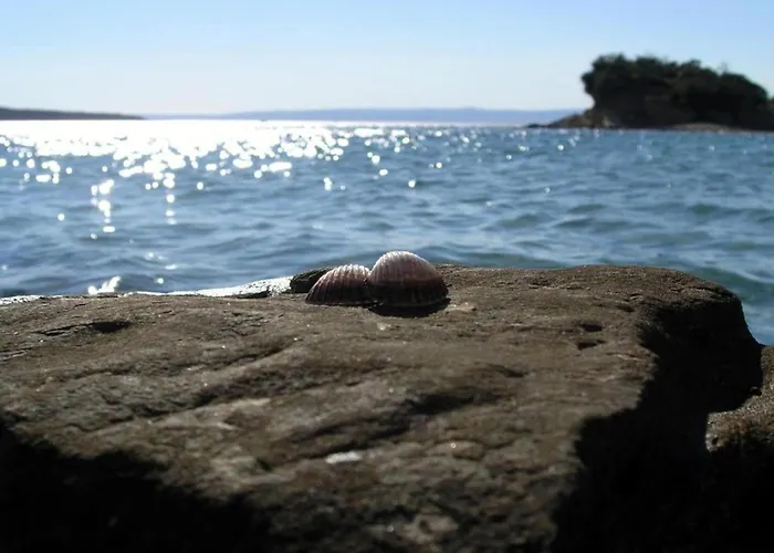 Seaside In Rab ラブ